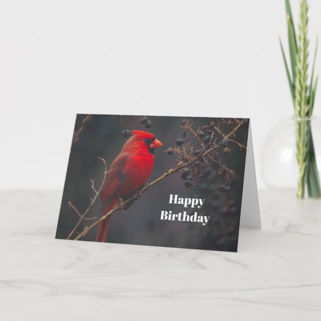 Wildlife Red Cardinal Birthday Kort (Framsida)