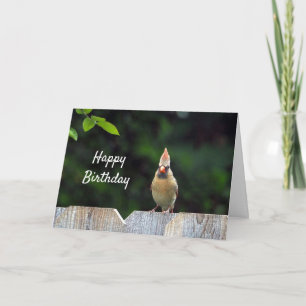 Wildlife Red Cardinal Fence Birthday Kort