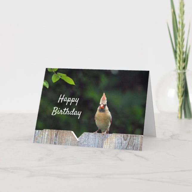 Wildlife Red Cardinal Fence Birthday Kort (Framsida)