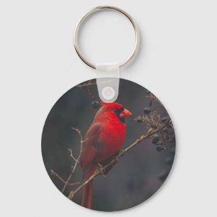 Wildlife Red Cardinal Photo Nyckelring