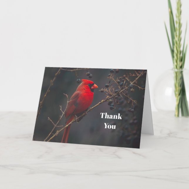 Wildlife Red Cardinal Tack Kort (Framsida)