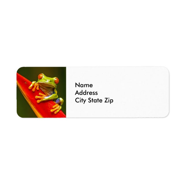 Wildlife Red Eyed Träd Frog Photo Returadress Etikett (Framsidan)