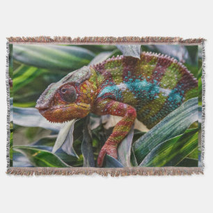 Wildlife Reptile Filt