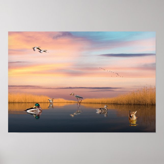 Wildlife Reserve Poster (Framsidan)