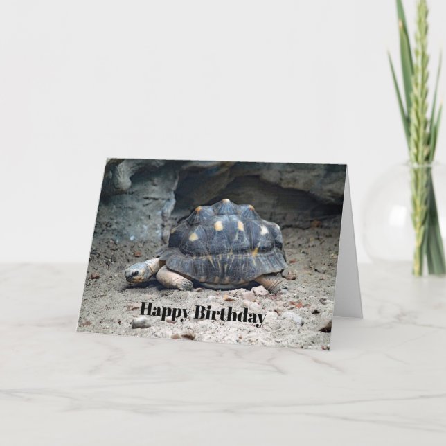 Wildlife Tortoise Reptile Photo Birthday Kort (Framsida)
