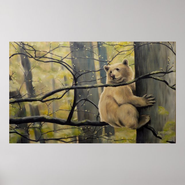 Wildlife-utskrifter kanadensiska kermode Bear Pain Poster (Framsidan)