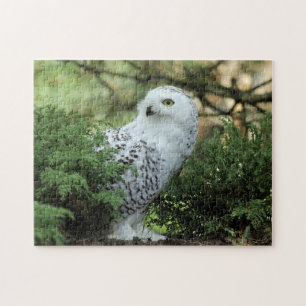 Wildlife White Uggla Photo Pussel