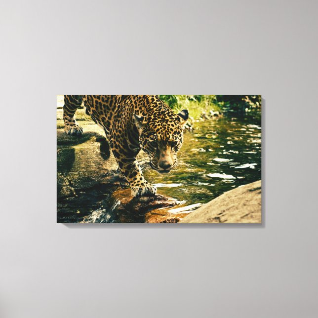 Wildlife Wildcat Animal Leopard Nature Canvastryck (Framsida)