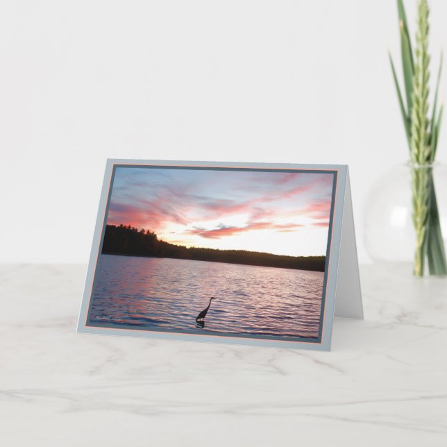 Wildness:  En civilisation annan än vår egen Kort (Framsida)