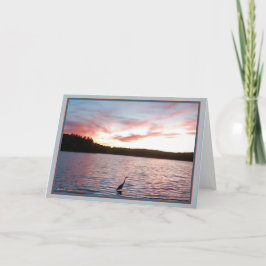 Wildness: En civilisation annan än vår egen Kort