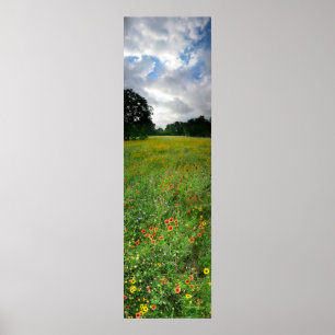 Wildsun Meadow - Butler Trail - Austin Texas Poster