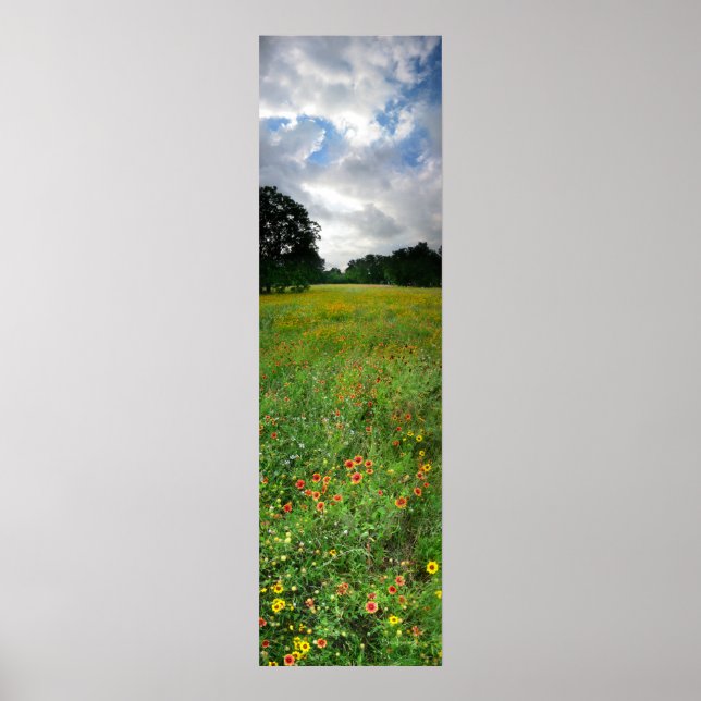 Wildsun Meadow - Butler Trail - Austin Texas Poster (Framsidan)