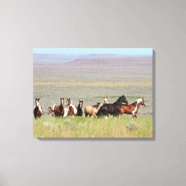 WildWest Mustangs Wrapped Canvas (Framsida)
