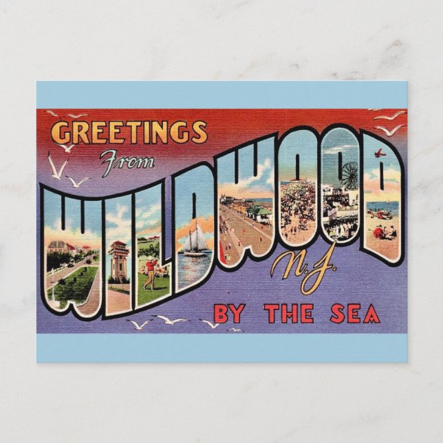 Wildwood By the Sea vykort (Framsida)