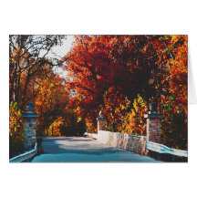 Wildwood Missouri överbryggar