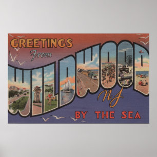Wildwood-vid--Hav som är nytt - jersey Poster