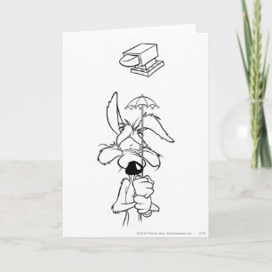 WILE E. COYOTE™ Acme Products Kort