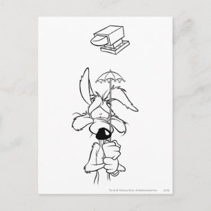 WILE E. COYOTE™ Acme Products Vykort