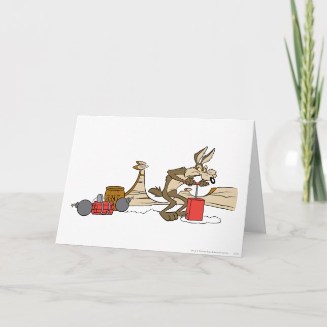 WILE E. COYOTE™ ACME TNT KORT (Framsida)