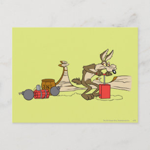 WILE E. COYOTE™ ACME TNT VYKORT