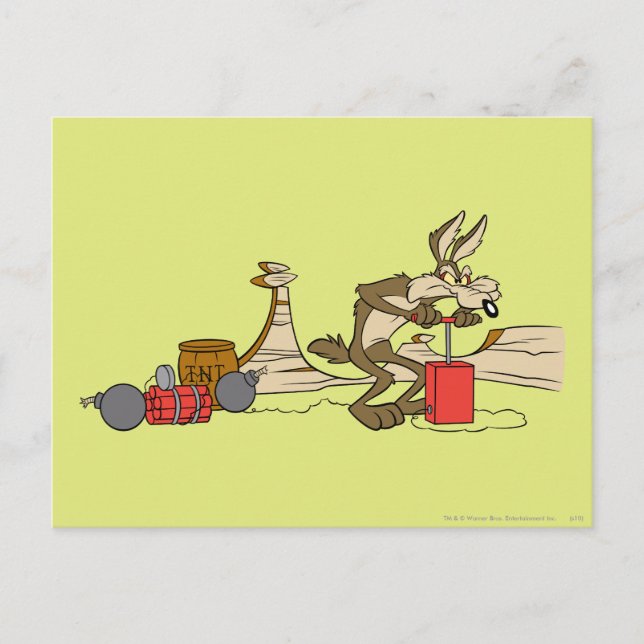 WILE E. COYOTE™ ACME TNT VYKORT (Framsida)