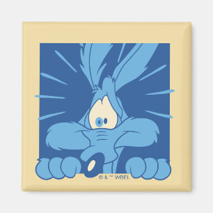 WILE E. COYOTE™ Chockad min Magnet