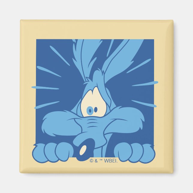 WILE E. COYOTE™ Chockad min Magnet (Framsidan)