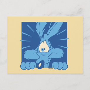 WILE E. COYOTE™ Chockad min Vykort