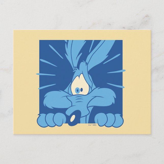 WILE E. COYOTE™ Chockad min Vykort (Framsida)
