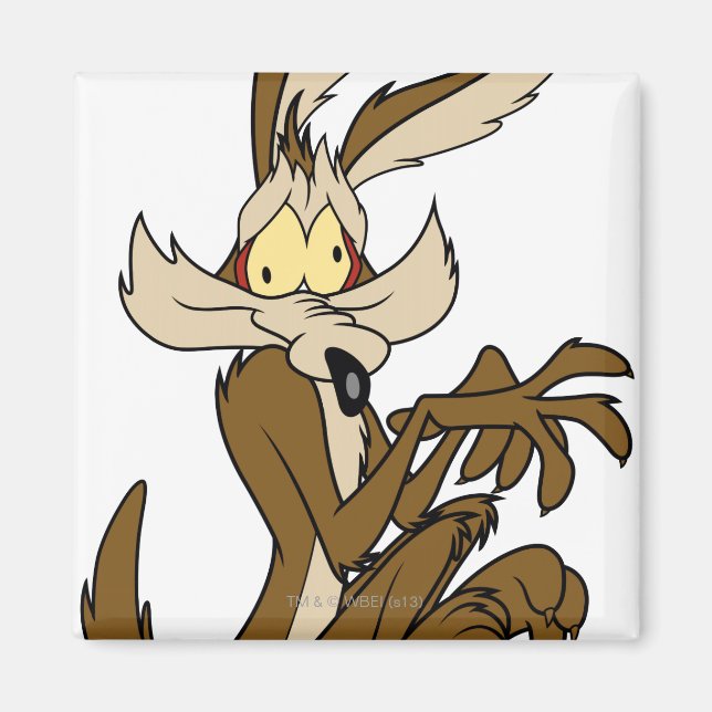 Wile E. Coyote Derp Magnet (Framsidan)