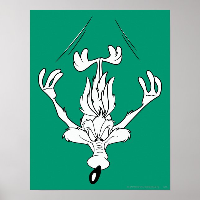 Wile E. Coyote Dive Bomb Poster (Framsidan)