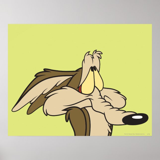 WILE E. COYOTE™ Förestående Undergång Poster (Framsidan)