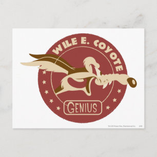 WILE E. COYOTE™ Genius Vykort