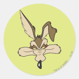 WILE E. COYOTE™ Pleed Head Shot Runt Klistermärke