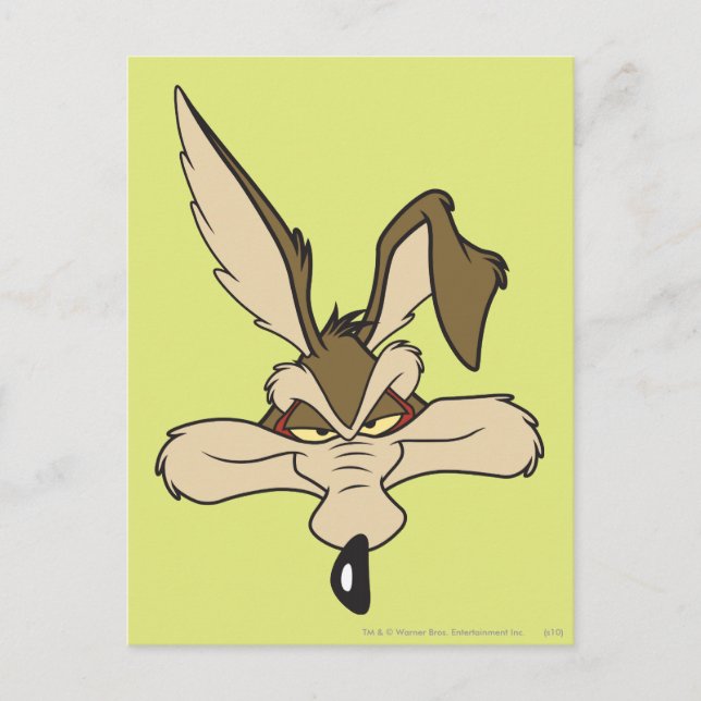 WILE E. COYOTE™ Pleed Head Shot Vykort (Framsida)