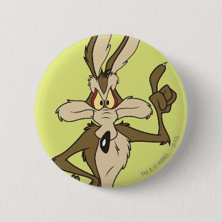 Wile E. Coyote Stall Tall Knapp