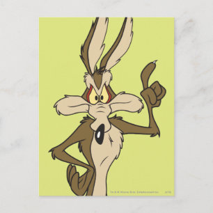 WILE E. COYOTE™ STALT Tall Vykort