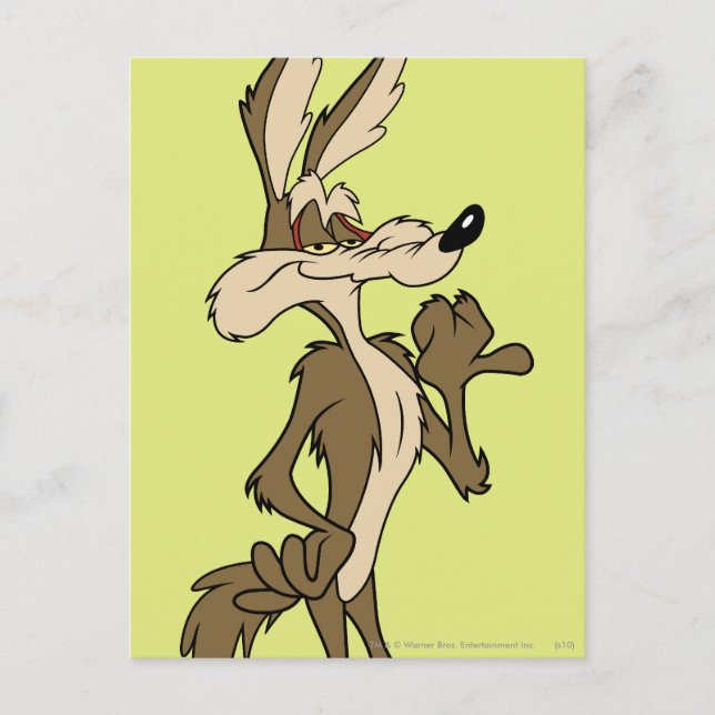 WILE E. COYOTE™ Tittar bra Vykort (Framsida)