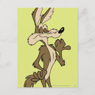 WILE E. COYOTE™ Tittar bra Vykort