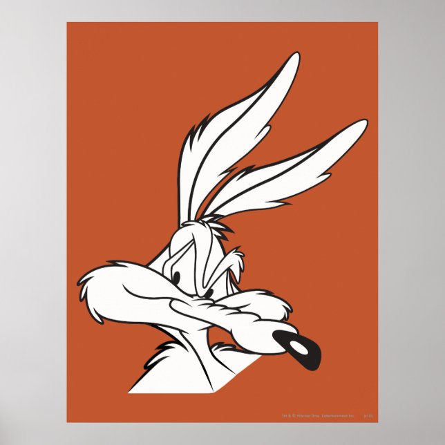 Wile E. Coyote Tittar sniaky Poster (Framsidan)