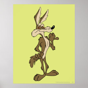 WILE E. COYOTE™ Tittar stolt Poster