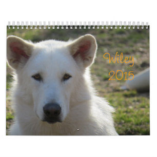 Wilekalender Kalender