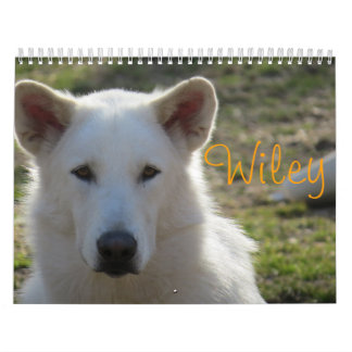 Wilekalender Kalender