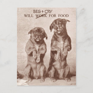 Will Beg & Gråt for Food Vykort