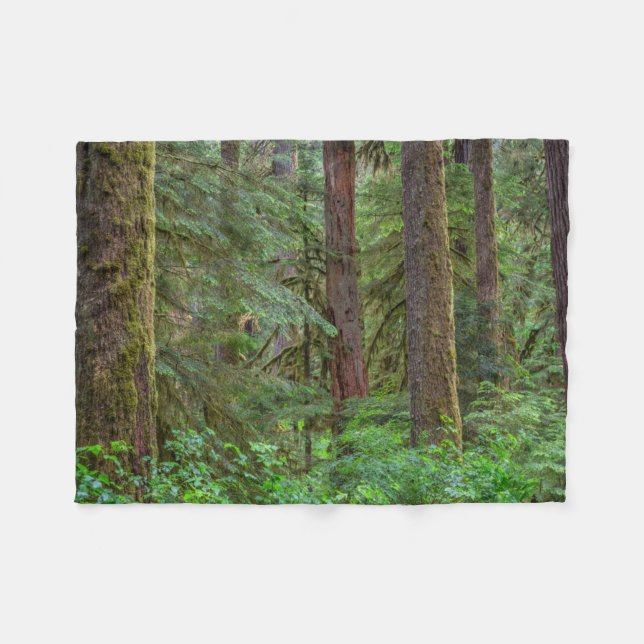 Willamette National Forest | Oregon Fleecefilt (Framsidan (Horisontell))