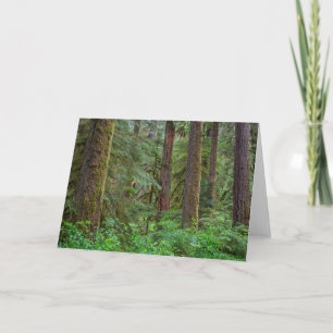 Willamette National Forest   Oregon Kort
