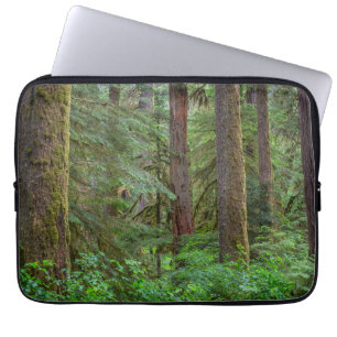 Willamette National Forest Oregon Laptop Fodral