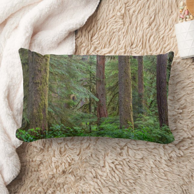 Willamette National Forest | Oregon Lumbarkudde (Filt)