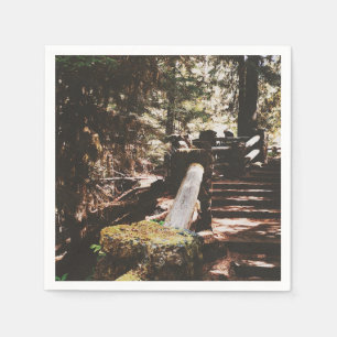 Willamette National Forest Pappersservett