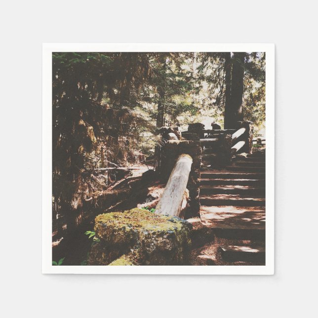 Willamette National Forest Pappersservett (Framsidan)